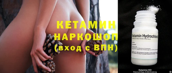 прущие грибы Переславль-Залесский