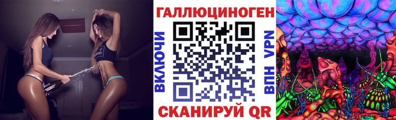 Галлюциногенные грибы Psilocybine cubensis  shop официальный сайт  Соль-Илецк 