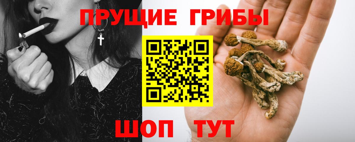 Псилоцибиновые грибы GOLDEN TEACHER Соль-Илецк